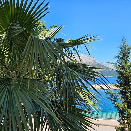 Villa Jade Apartments Front Row Sea View - Walk To Korcula Old Town Medvinjak 외부 사진