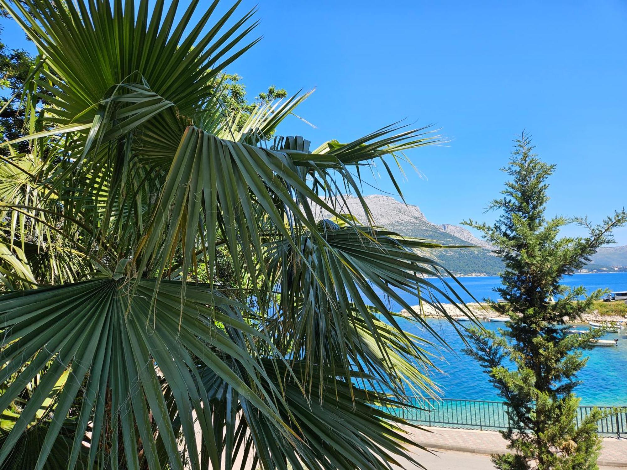Villa Jade Apartments Front Row Sea View - Walk To Korcula Old Town Medvinjak 외부 사진
