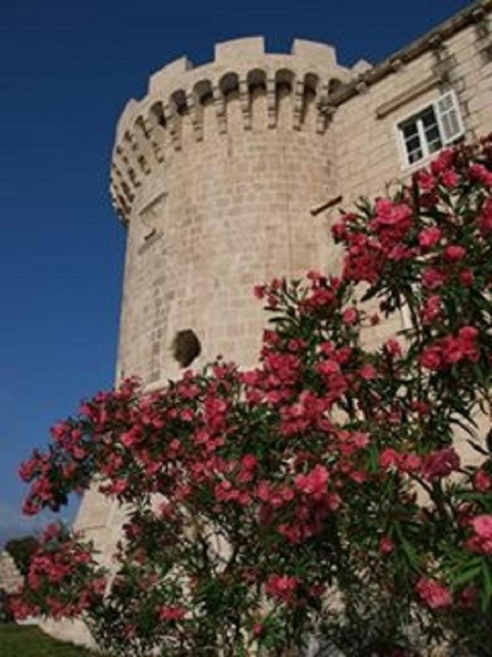 Villa Jade Apartments Front Row Sea View - Walk To Korcula Old Town Medvinjak 외부 사진